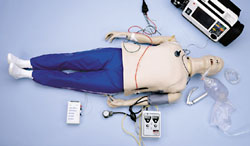 Life/form® Complete Adult CRiSis™ Manikin